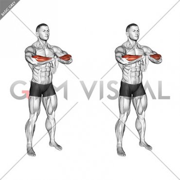 Wrist Extensor Stretch (male)
