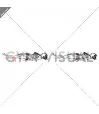Static Glutes Contraction (Isometric) (female)