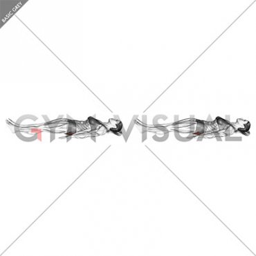 Static Glutes Contraction (Isometric) (female)