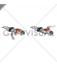 Floor W Raise (male)