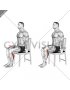 Seated Single Leg Calf Raise on a Chair (male)