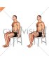 Seated Single Leg Calf Raise on a Chair (male)