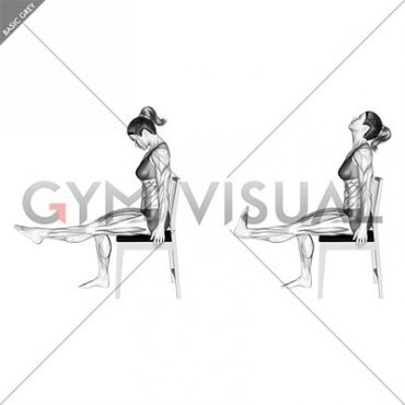 Sciatic Nerve Glide Floss (female)