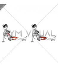 Seated Knee Down (female)