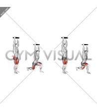 Weighted Plate Overhead Reverse Lunge (male)