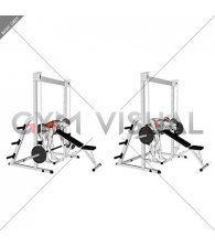 Smith Bent Over Row (chest supported)