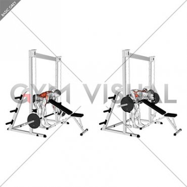 Smith Bent Over Row (chest supported)