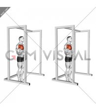 Internal Rotation Shoulders Mobilization