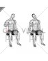 Seated Radial Nerve Mobilization