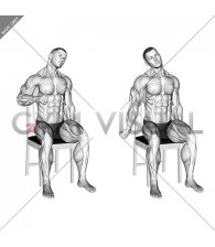 Seated Radial Nerve Mobilization