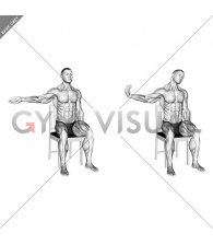 Seated Median Nerve Mobilization
