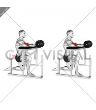 Kneeling Isometric Biceps Hold