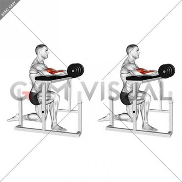 Kneeling Isometric Biceps Hold