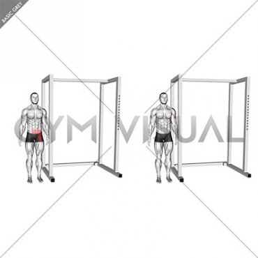 External Press Shoulders Mobilization