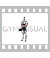Dumbbell Single Arm Curl with Isometric Hold