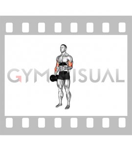 Dumbbell Single Arm Curl with Isometric Hold