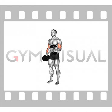 Dumbbell Single Arm Curl with Isometric Hold