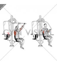 Lever Outdoor Seated Lat Pulldown