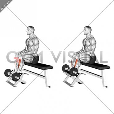 Lever Sitting Toe Raise (male)