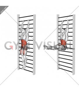 Stall Bar Leg Raise