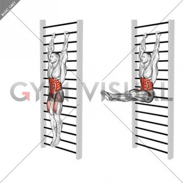 Stall Bar Leg Raise