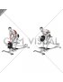 Lever T bar Close grip Row (plate loaded)