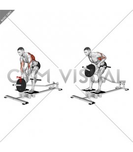 Lever T bar Close grip Row (plate loaded)