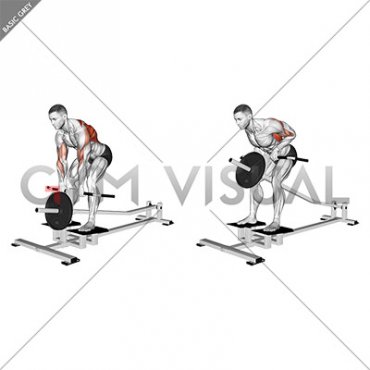 Lever T bar Close grip Row (plate loaded)
