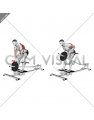 Lever T bar Close grip Row (plate loaded)