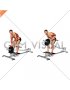 Lever T bar Close grip Row (plate loaded)