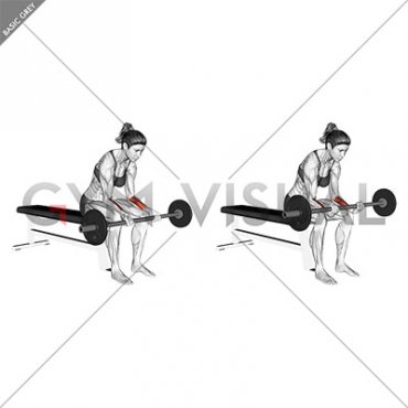 Barbell Wrist Curl (VERSION 2) (female)