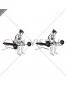 Barbell Wrist Curl (VERSION 2) (female)