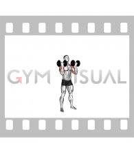 Dumbbell Standing Alternating Arnold Press (male)