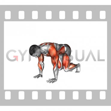 Bear Plank Shoulder Tap