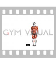 Burpee Over the Plates (male)