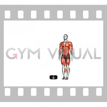 Burpee Over the Plates (male)