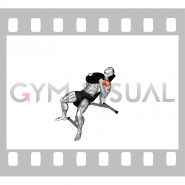 Weighted Plate Incline Press