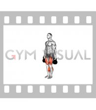 Kettlebell Suitcase March