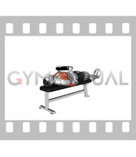 Weighted Plate Larsen Press (male)