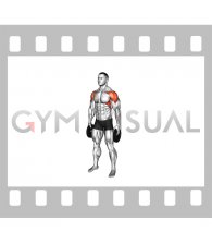 Weighted Plate Standing Lateral Pulse Raise (male)