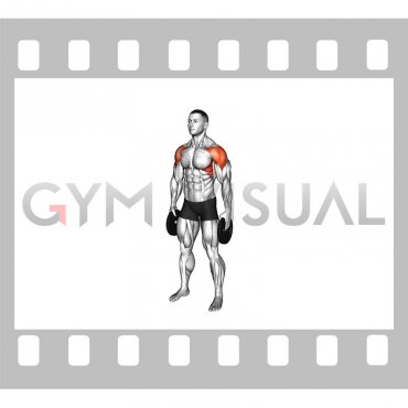 Weighted Plate Standing Lateral Pulse Raise (male)