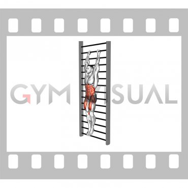 Stall Bar Leg Raise