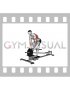Lever T bar Close grip Row (plate loaded)