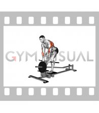Lever T bar Close grip Row (plate loaded)