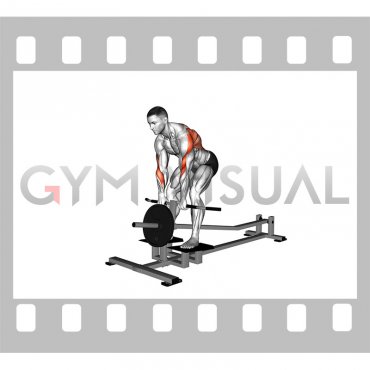 Lever T bar Close grip Row (plate loaded)