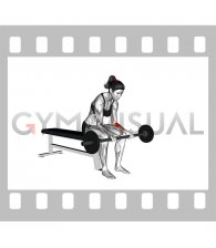 Barbell Wrist Curl (VERSION 2) (female)