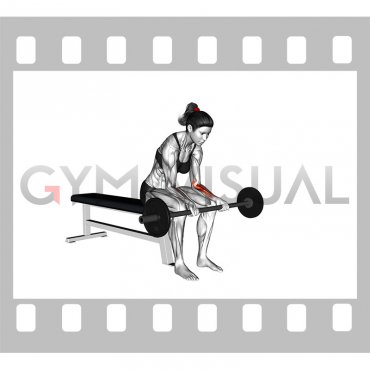Barbell Wrist Curl (VERSION 2) (female)