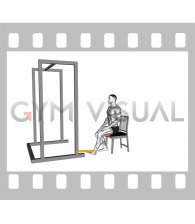 Resistance Band Seated Hamstring Curl (male)