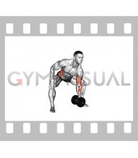 Dumbbell Single Arm Gorilla Row (male)