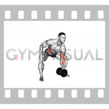 Dumbbell Single Arm Gorilla Row (male)